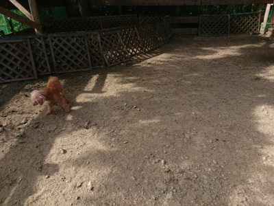 f:id:roukenhome-ann:20190807172104j:plain