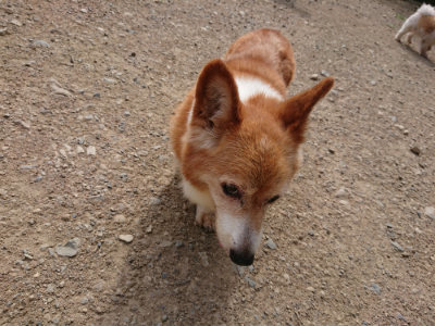 f:id:roukenhome-ann:20190807172124j:plain