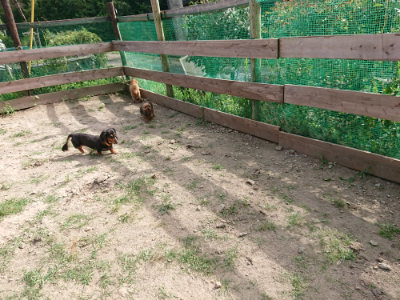 f:id:roukenhome-ann:20190807172129j:plain