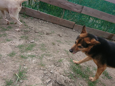 f:id:roukenhome-ann:20190807172248j:plain