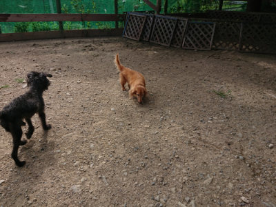 f:id:roukenhome-ann:20190807172309j:plain
