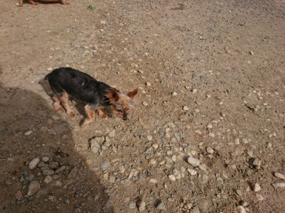 f:id:roukenhome-ann:20190807172439j:plain