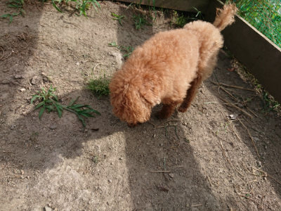 f:id:roukenhome-ann:20190807172504j:plain