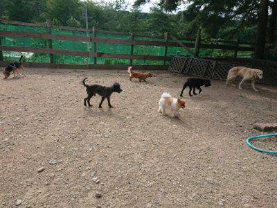 f:id:roukenhome-ann:20190807172539j:plain