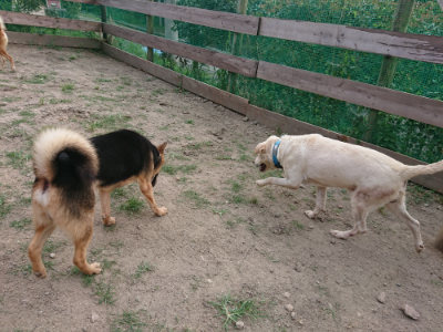 f:id:roukenhome-ann:20190807202359j:plain