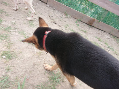 f:id:roukenhome-ann:20190807202453j:plain