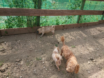f:id:roukenhome-ann:20190807202637j:plain