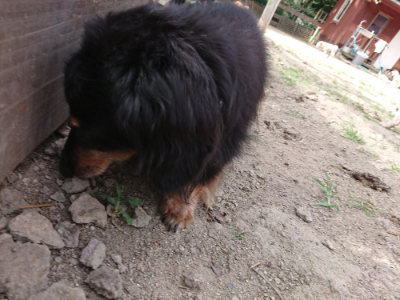 f:id:roukenhome-ann:20190807202654j:plain