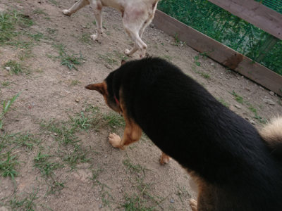 f:id:roukenhome-ann:20190807202731j:plain