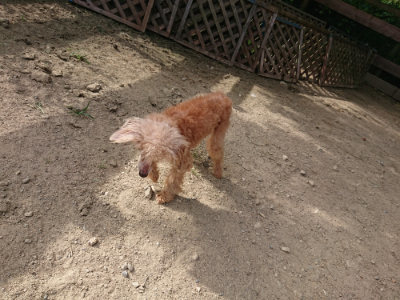 f:id:roukenhome-ann:20190807202815j:plain