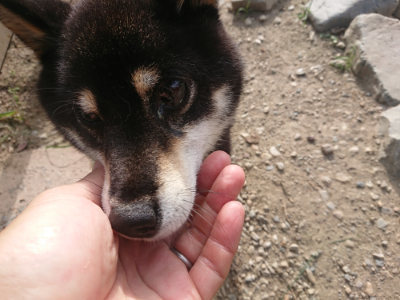 f:id:roukenhome-ann:20190807202931j:plain