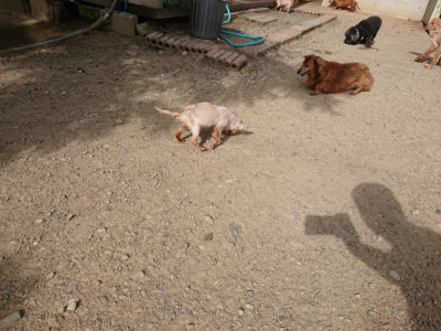 f:id:roukenhome-ann:20190807203132j:plain