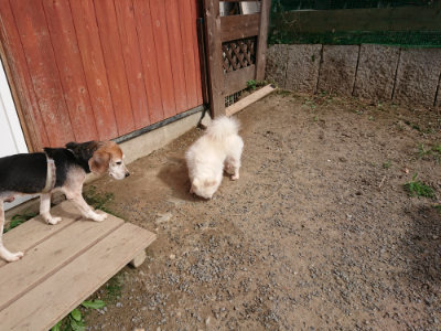 f:id:roukenhome-ann:20190807203539j:plain