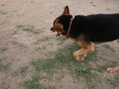 f:id:roukenhome-ann:20190807204302j:plain