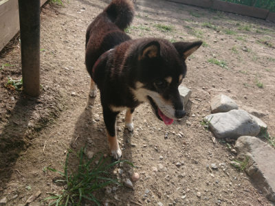 f:id:roukenhome-ann:20190807204353j:plain