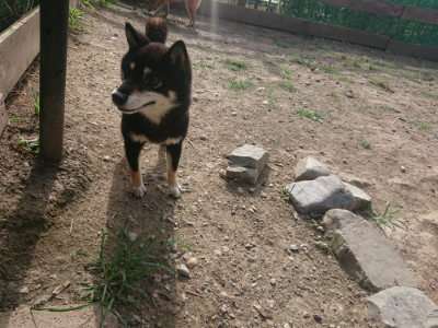 f:id:roukenhome-ann:20190807204430j:plain