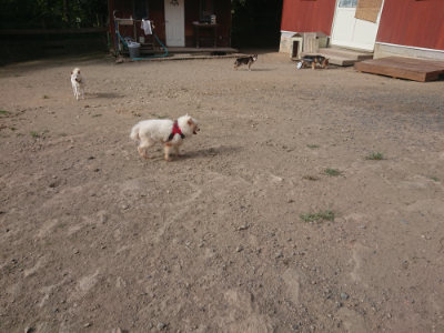 f:id:roukenhome-ann:20190807204513j:plain