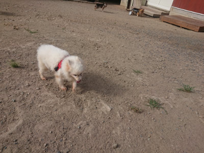 f:id:roukenhome-ann:20190807204628j:plain
