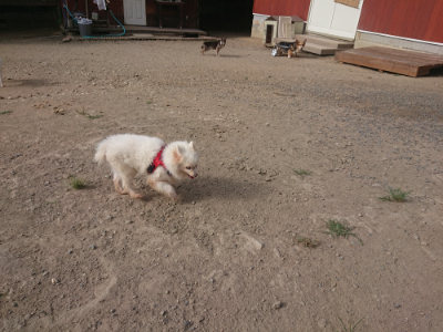 f:id:roukenhome-ann:20190807204734j:plain