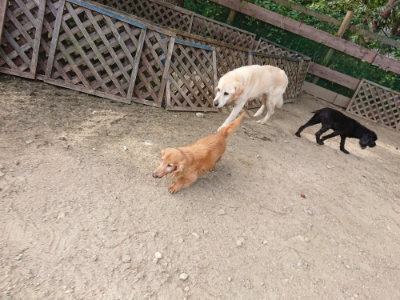 f:id:roukenhome-ann:20190807205039j:plain