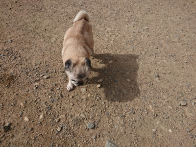 f:id:roukenhome-ann:20190807205407j:plain