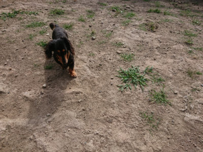 f:id:roukenhome-ann:20190807210105j:plain