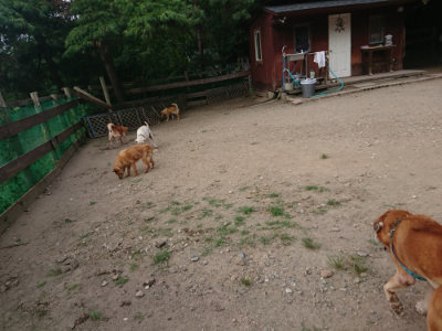 f:id:roukenhome-ann:20190807210245j:plain