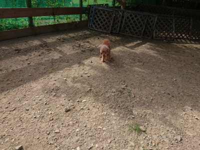 f:id:roukenhome-ann:20190807210645j:plain