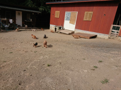 f:id:roukenhome-ann:20190807210732j:plain