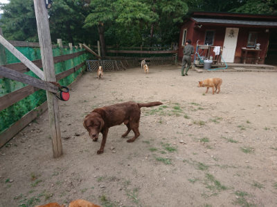 f:id:roukenhome-ann:20190807210814j:plain
