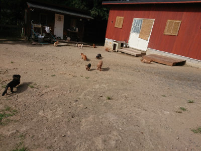 f:id:roukenhome-ann:20190807210919j:plain