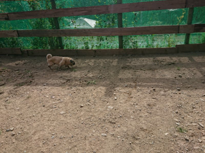 f:id:roukenhome-ann:20190807211023j:plain