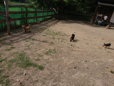 f:id:roukenhome-ann:20190807211038j:plain