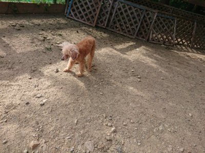 f:id:roukenhome-ann:20190807211248j:plain