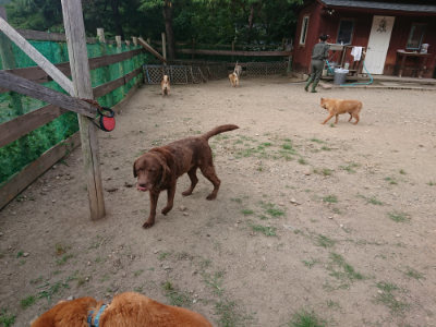 f:id:roukenhome-ann:20190807211304j:plain