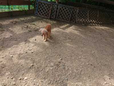f:id:roukenhome-ann:20190807211453j:plain