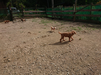 f:id:roukenhome-ann:20190808050118j:plain