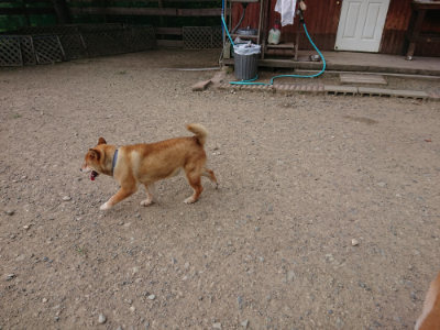 f:id:roukenhome-ann:20190808050123j:plain