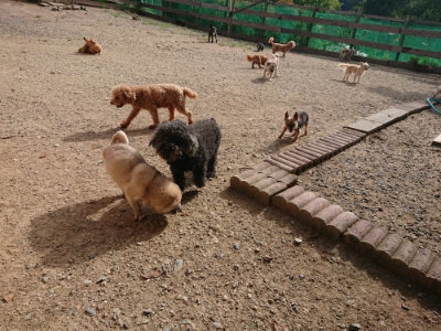 f:id:roukenhome-ann:20190808050249j:plain