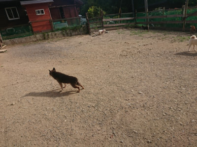 f:id:roukenhome-ann:20190808050254j:plain