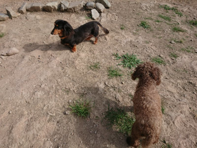 f:id:roukenhome-ann:20190808050349j:plain