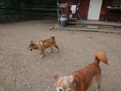 f:id:roukenhome-ann:20190808050416j:plain