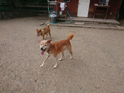 f:id:roukenhome-ann:20190808050426j:plain