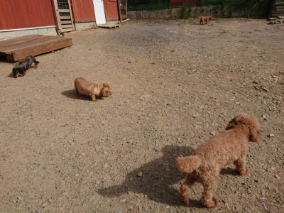 f:id:roukenhome-ann:20190808051609j:plain f:id:roukenhome-ann:20190808051609j:plain