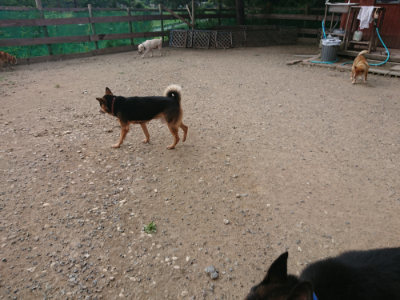 f:id:roukenhome-ann:20190808051633j:plain f:id:roukenhome-ann:20190808051633j:plain