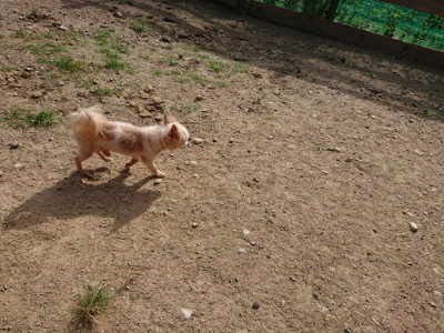 f:id:roukenhome-ann:20190808051742j:plain f:id:roukenhome-ann:20190808051742j:plain