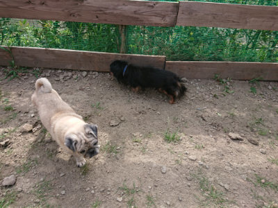 f:id:roukenhome-ann:20190808051843j:plain f:id:roukenhome-ann:20190808051843j:plain