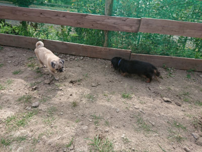 f:id:roukenhome-ann:20190808051911j:plain f:id:roukenhome-ann:20190808051911j:plain