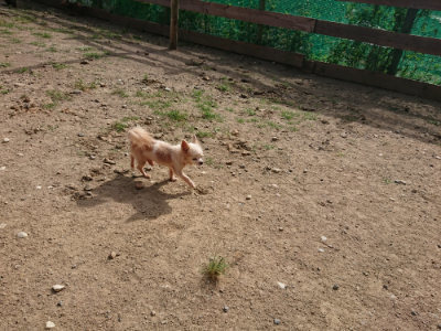 f:id:roukenhome-ann:20190808051927j:plain f:id:roukenhome-ann:20190808051927j:plain