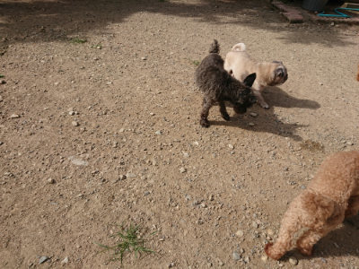 f:id:roukenhome-ann:20190808052033j:plain f:id:roukenhome-ann:20190808052033j:plain
